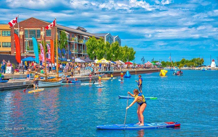 Several adults on standing paddleboards near the waterfront.