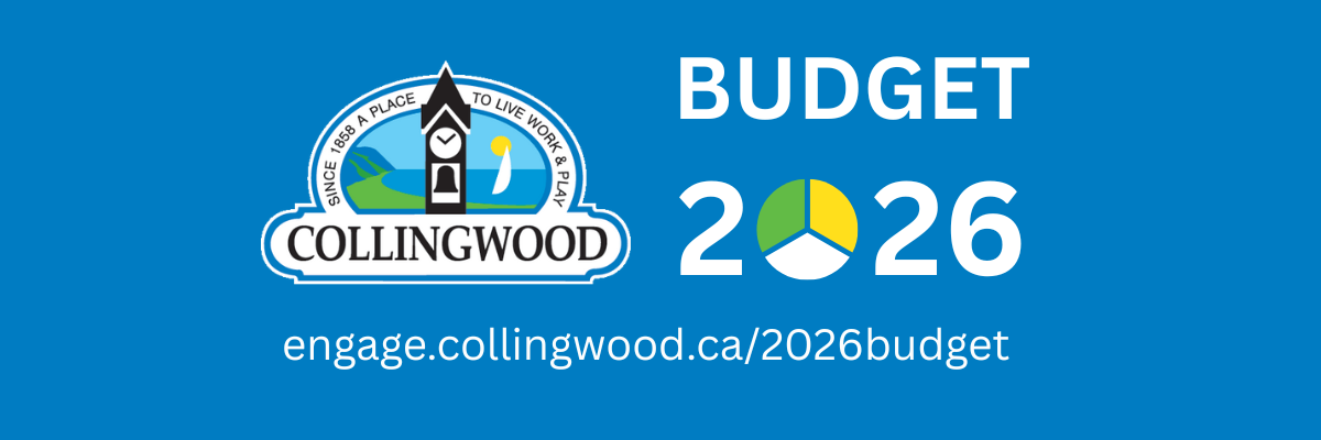 Budget 2026 logo