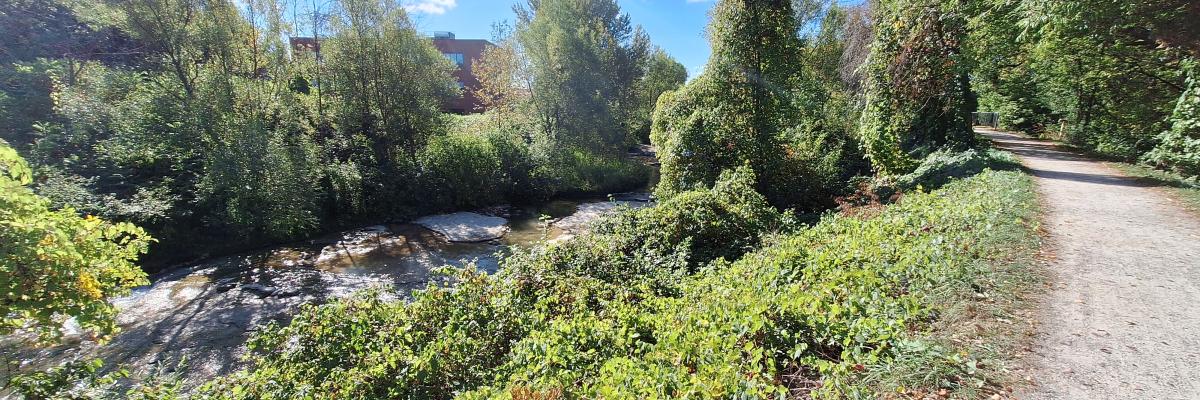 Pretty River Dike