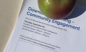 Community Engagement Downtown Visioning 