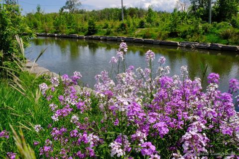 9eaf739e3d1bc178c609bce1bd48580b_black_ash_creek.jpg