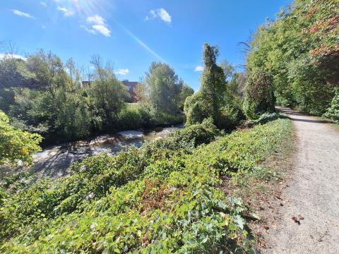 Pretty River Dike